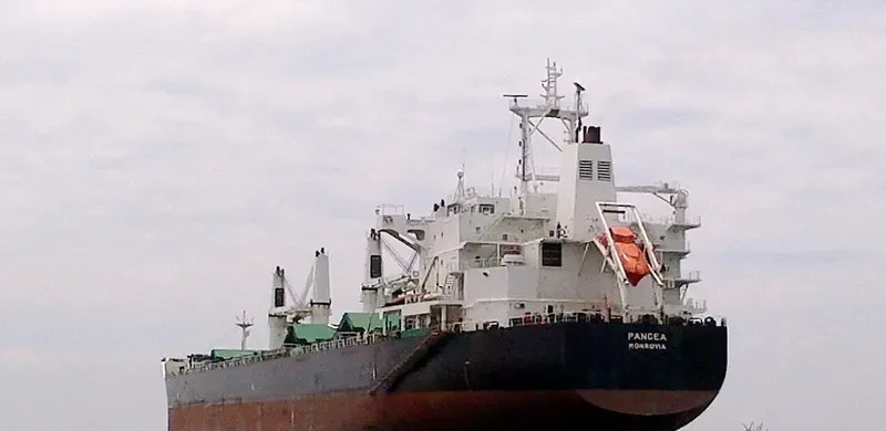 PANGEA Bulk Carrier IMO 9587879 photo 4