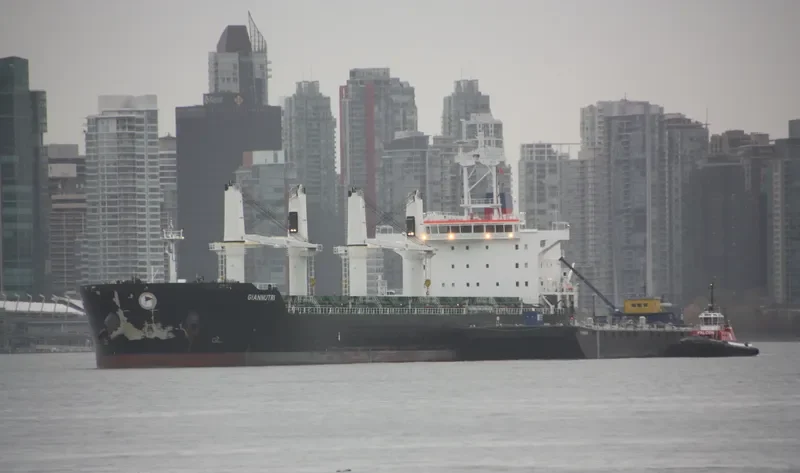 PANGEA Bulk Carrier IMO 9587879 photo 9