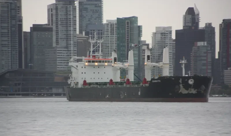 PANGEA Bulk Carrier IMO 9587879 photo 10