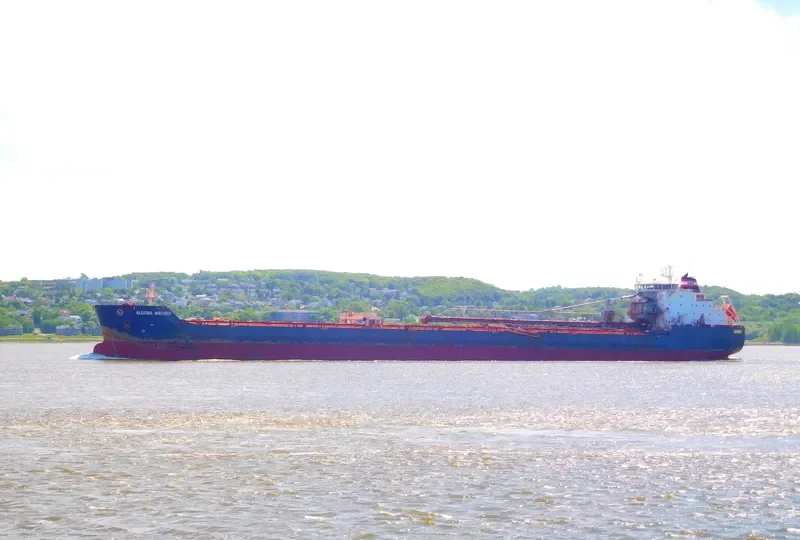 ALGOMA MARINER Bulk Carrier IMO 9587893 photo 10