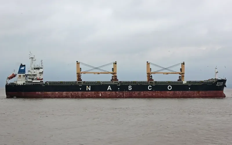 HEILAN BRIGHT Bulk Carrier IMO 9587958 photo 5