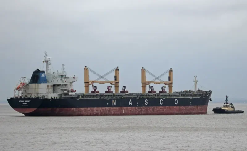 HEILAN BRIGHT Bulk Carrier IMO 9587958 photo 6