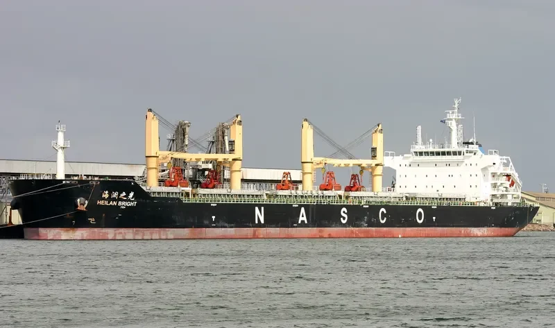 HEILAN BRIGHT Bulk Carrier IMO 9587958 photo 10