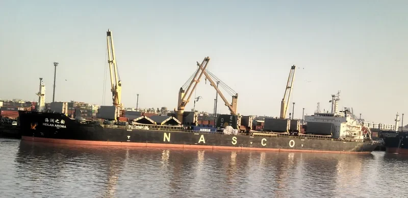 HEILAN AROMA Bulk Carrier IMO 9587972 photo 2