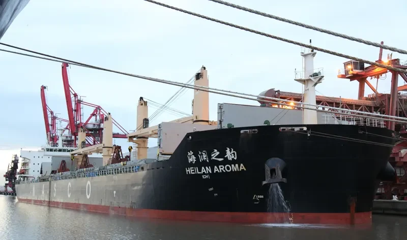 HEILAN AROMA Bulk Carrier IMO 9587972 photo 4
