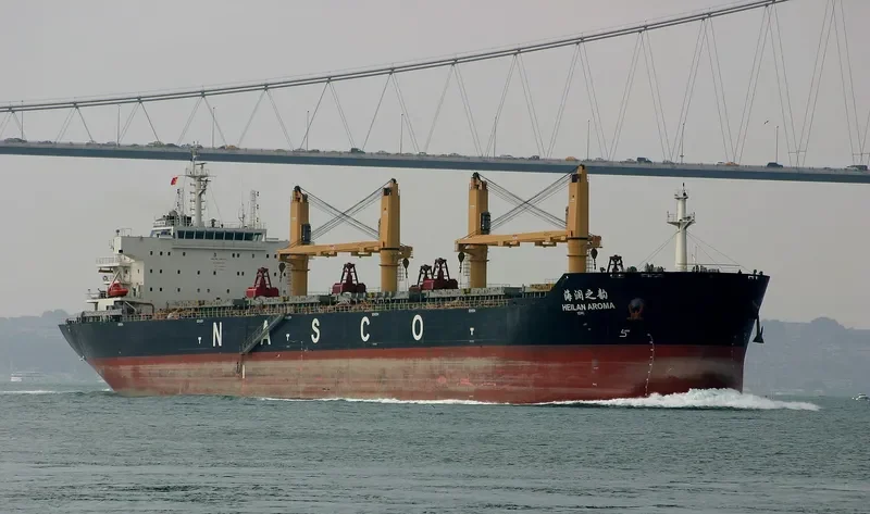 HEILAN AROMA Bulk Carrier IMO 9587972 photo 6