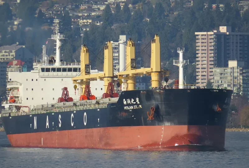 HEILAN STAR Bulk Carrier IMO 9587984 photo 2
