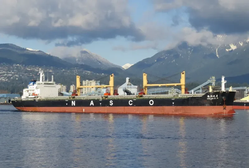 HEILAN STAR Bulk Carrier IMO 9587984 photo 3