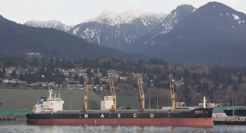 HEILAN STAR Bulk Carrier IMO 9587984 photo 5