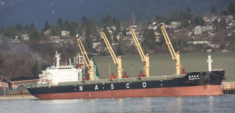 HEILAN STAR Bulk Carrier IMO 9587984 photo 6