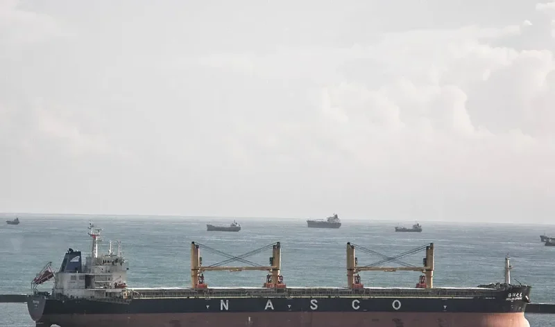 HEILAN SPRING Bulk Carrier IMO 9587996