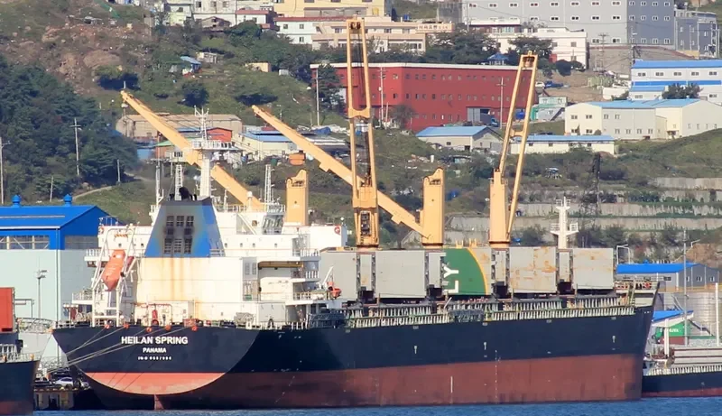 HEILAN SPRING Bulk Carrier IMO 9587996 photo 2