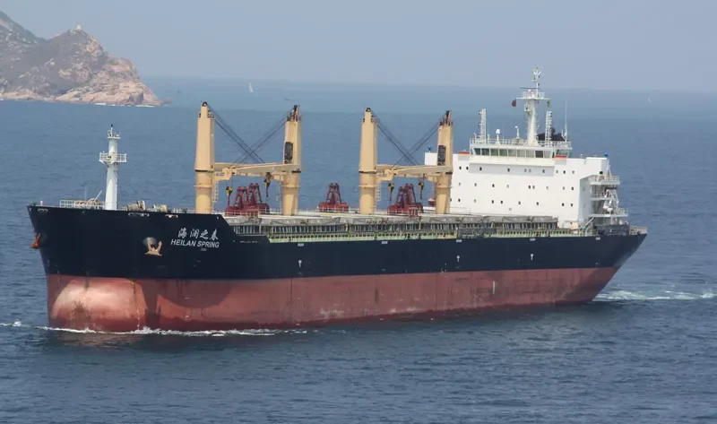 HEILAN SPRING Bulk Carrier IMO 9587996 photo 3