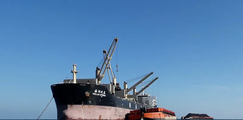 HEILAN SPRING Bulk Carrier IMO 9587996 photo 5