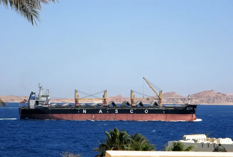 HEILAN SPRING Bulk Carrier IMO 9587996 photo 6