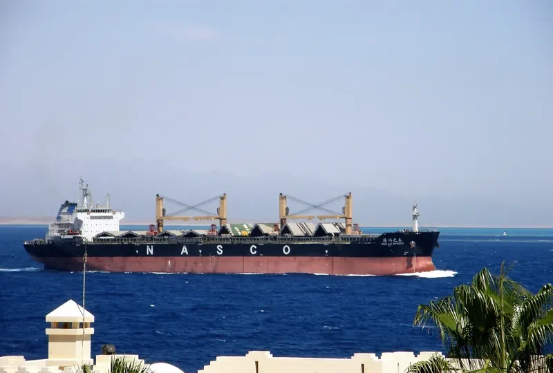 HEILAN SPRING Bulk Carrier IMO 9587996 photo 7