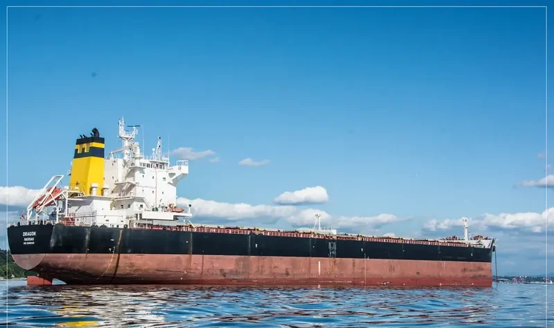 DRAGON Bulk Carrier IMO 9588005 photo 3