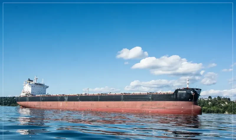 DRAGON Bulk Carrier IMO 9588005 photo 4