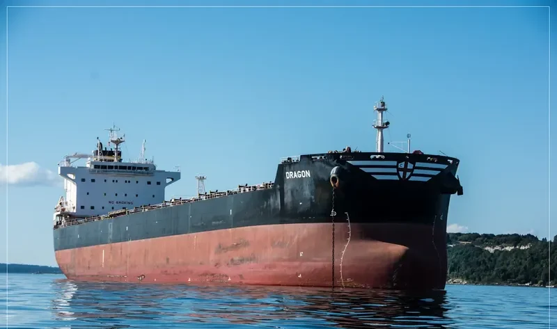 DRAGON Bulk Carrier IMO 9588005 photo 5