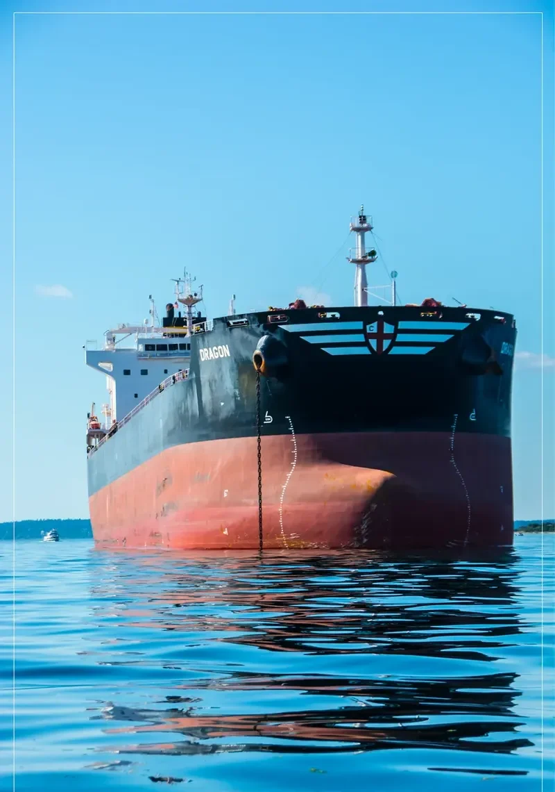 DRAGON Bulk Carrier IMO 9588005 photo 11