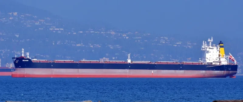 DRAGON Bulk Carrier IMO 9588005 photo 16