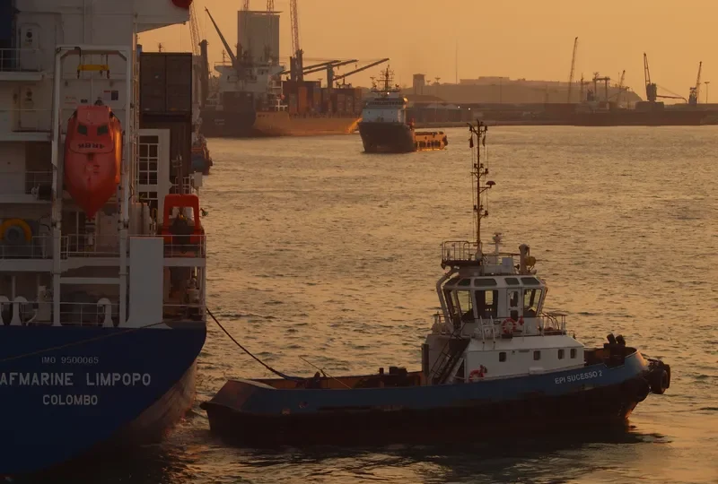 EPI SUCESSO 2 General Cargo IMO 9588055