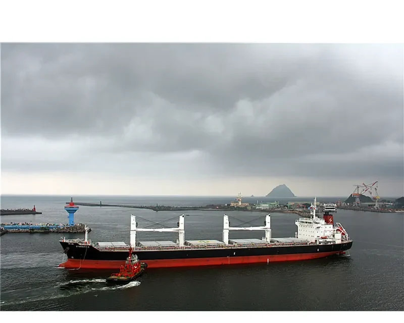 ETERNITY C Bulk Carrier IMO 9588249 photo 10