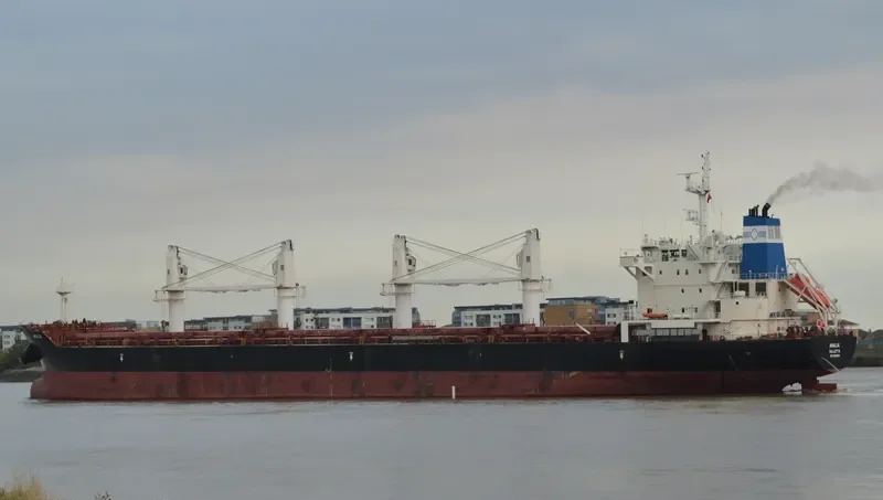 AMALIA Bulk Carrier IMO 9588354