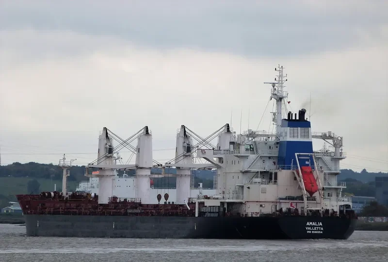AMALIA Bulk Carrier IMO 9588354 photo 2