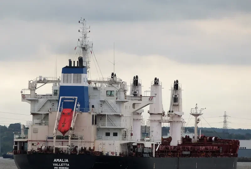 AMALIA Bulk Carrier IMO 9588354 photo 3