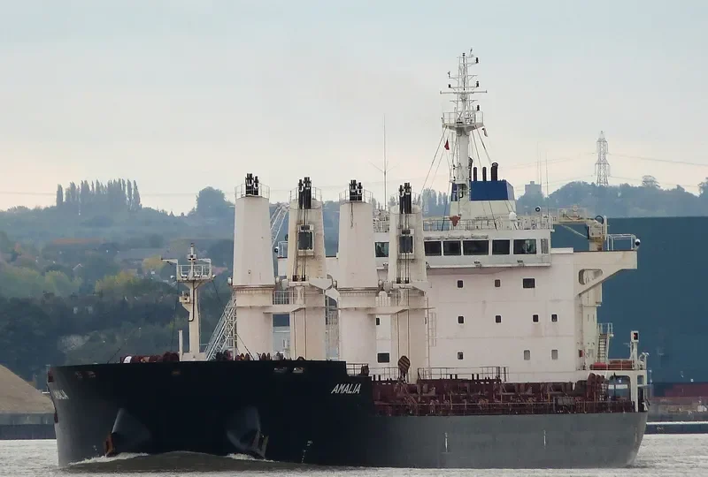 AMALIA Bulk Carrier IMO 9588354 photo 4