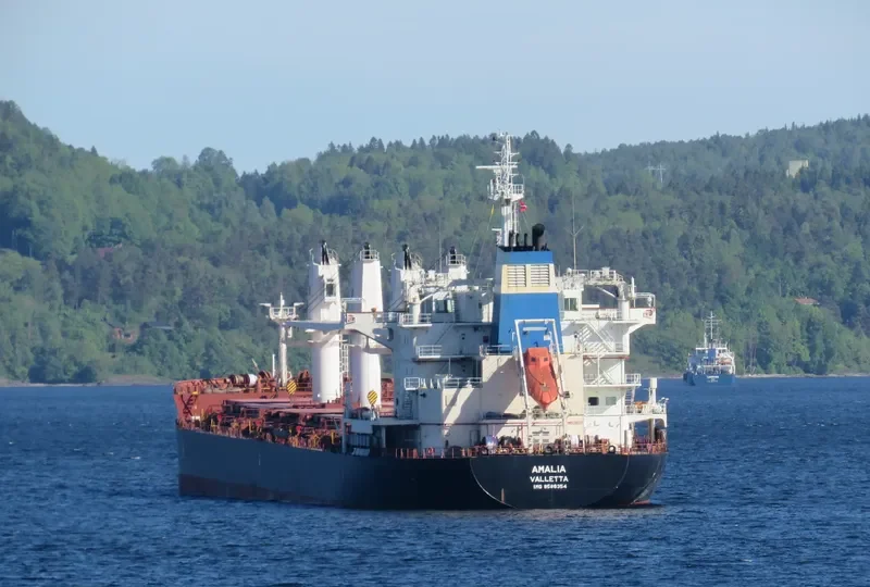 AMALIA Bulk Carrier IMO 9588354 photo 5