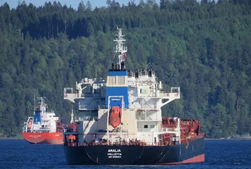 AMALIA Bulk Carrier IMO 9588354 photo 6