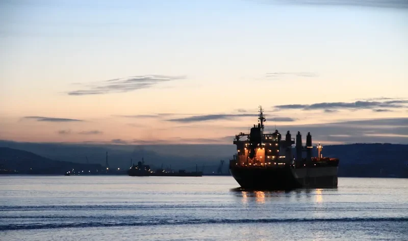 AMALIA Bulk Carrier IMO 9588354 photo 7