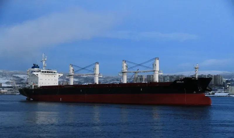 AMALIA Bulk Carrier IMO 9588354 photo 8
