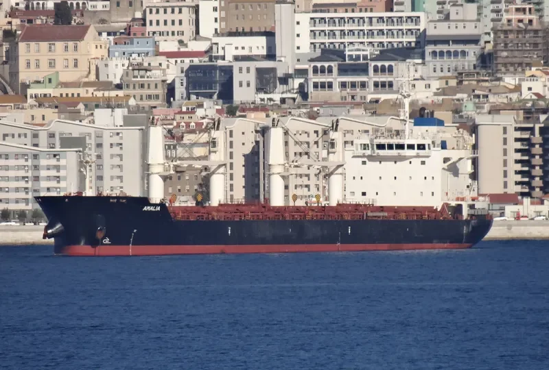 AMALIA Bulk Carrier IMO 9588354 photo 9