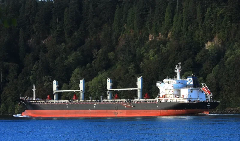 MESHKA Bulk Carrier IMO 9588380 photo 3