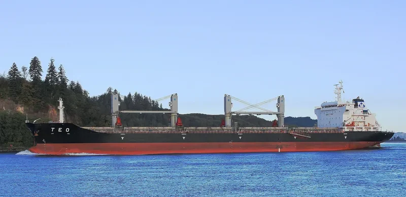 MESHKA Bulk Carrier IMO 9588380 photo 4