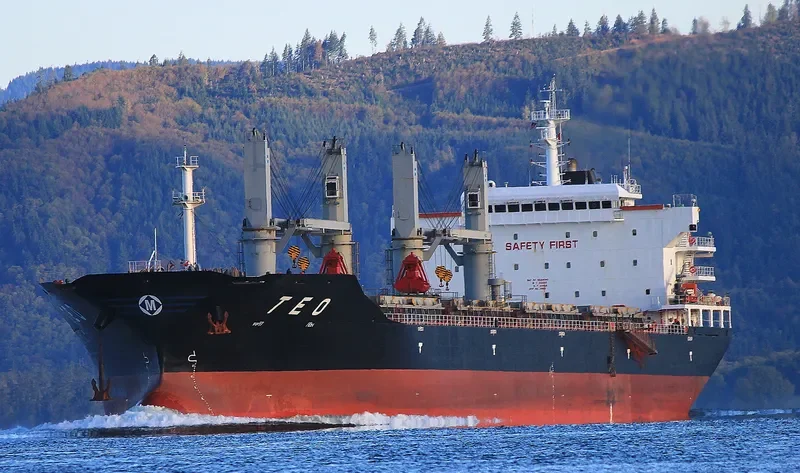 MESHKA Bulk Carrier IMO 9588380 photo 6