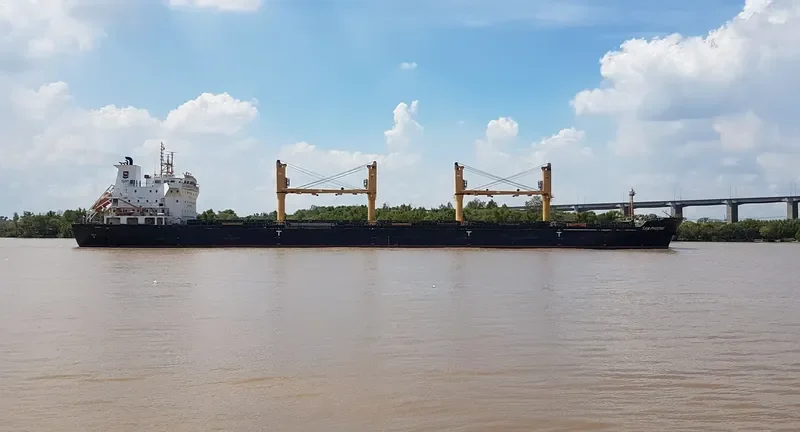 BARONESS Bulk Carrier IMO 9588407 photo 2