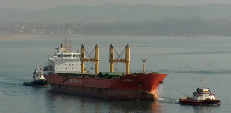 BARONESS Bulk Carrier IMO 9588407 photo 8