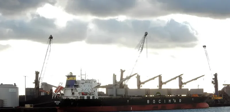VICTORY C Bulk Carrier IMO 9588419
