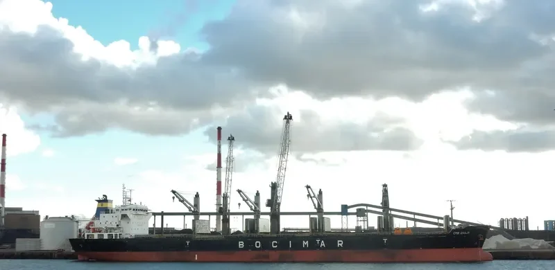 VICTORY C Bulk Carrier IMO 9588419 photo 2