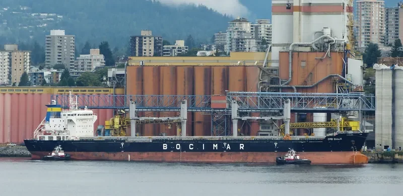 VICTORY C Bulk Carrier IMO 9588419 photo 7