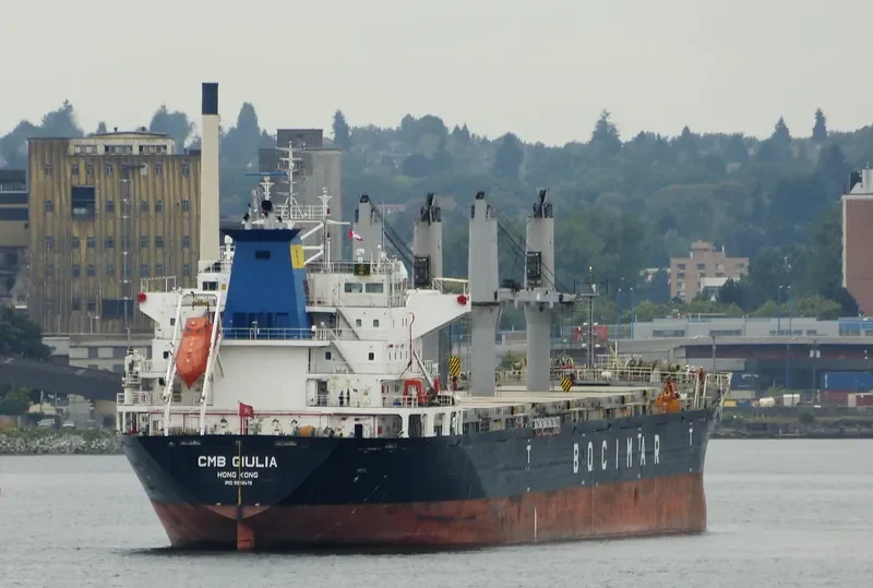VICTORY C Bulk Carrier IMO 9588419 photo 8