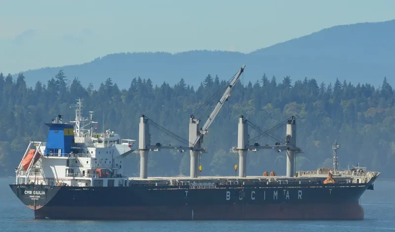 VICTORY C Bulk Carrier IMO 9588419 photo 10