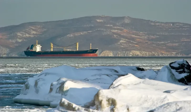 GLORY HANGZHOU Bulk Carrier IMO 9588433 photo 4