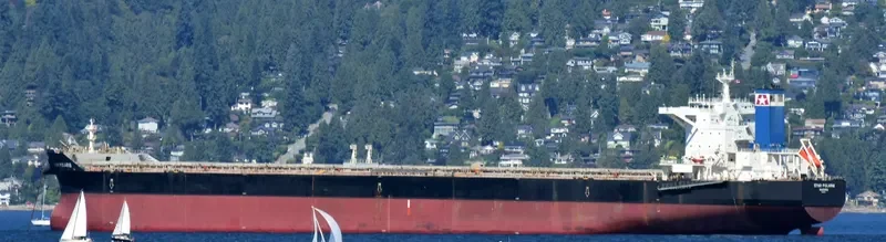 STAR POLARIS Bulk Carrier IMO 9588457