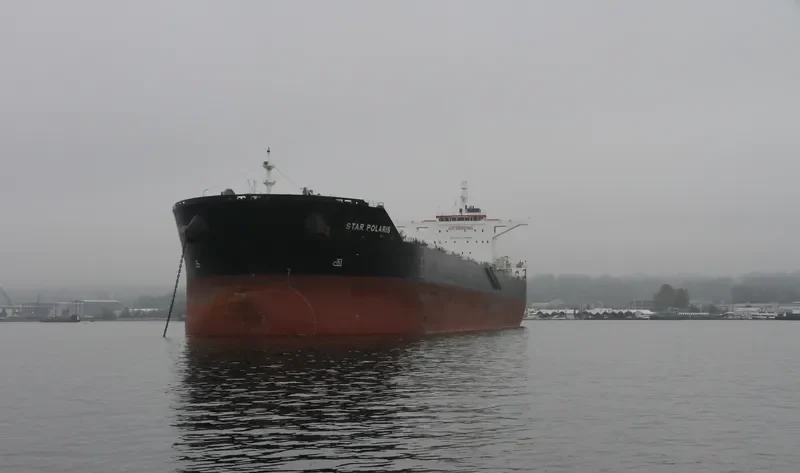 STAR POLARIS Bulk Carrier IMO 9588457 photo 4