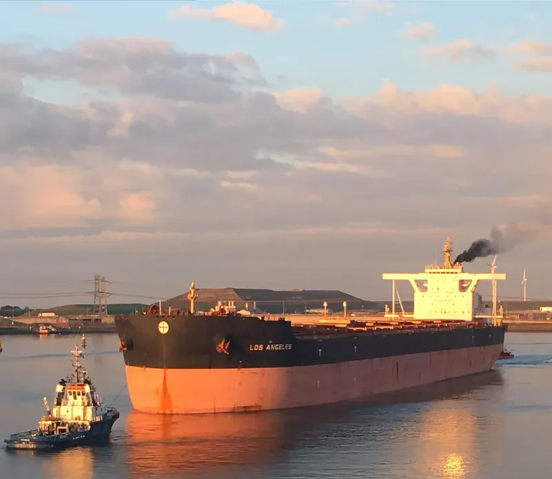 LOS ANGELES Bulk Carrier IMO 9588483 photo 2